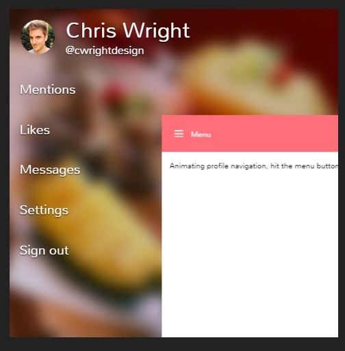 Off canvas zoom navigation